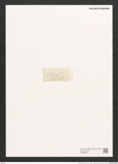 Navicula futilis A.Schm. (de-Toni-Nr.: Genus 1, Species 278) Zeichnungen Sammlung Grunow (NHMW-BOT-W0366997)